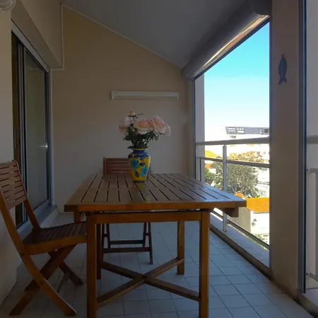 2 Pieces Avec Mezzanine Chez Plage, Centre-ville Et Garage Prive - Fr-1-92-704 Apartment