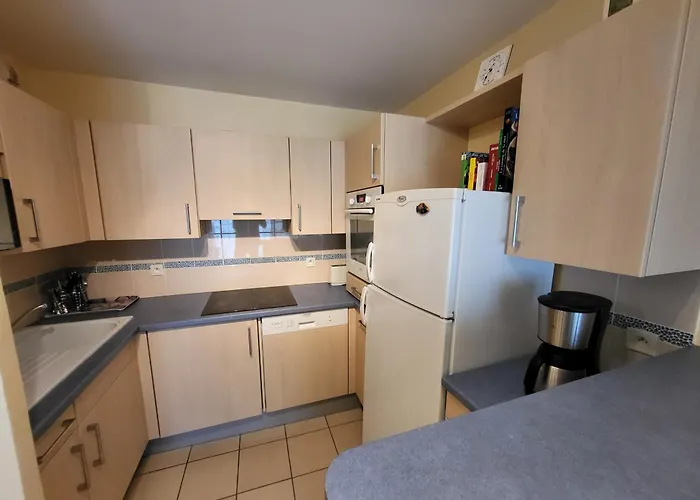 2 Pieces Avec Mezzanine Chez Plage, Centre-ville Et Garage Prive - Fr-1-92-704 公寓