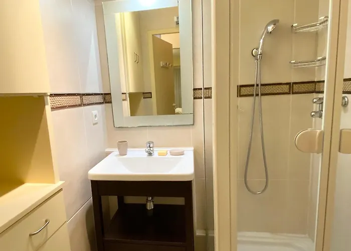 2 Pieces Avec Mezzanine Chez Plage, Centre-ville Et Garage Prive - Fr-1-92-704 *